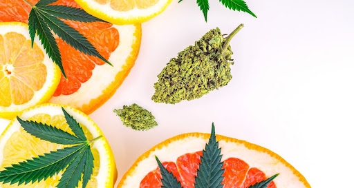 What Are Cannabis Terpenes? | Stash & Co.