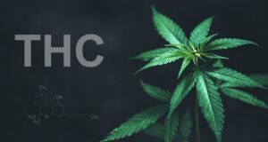 Forms of THC