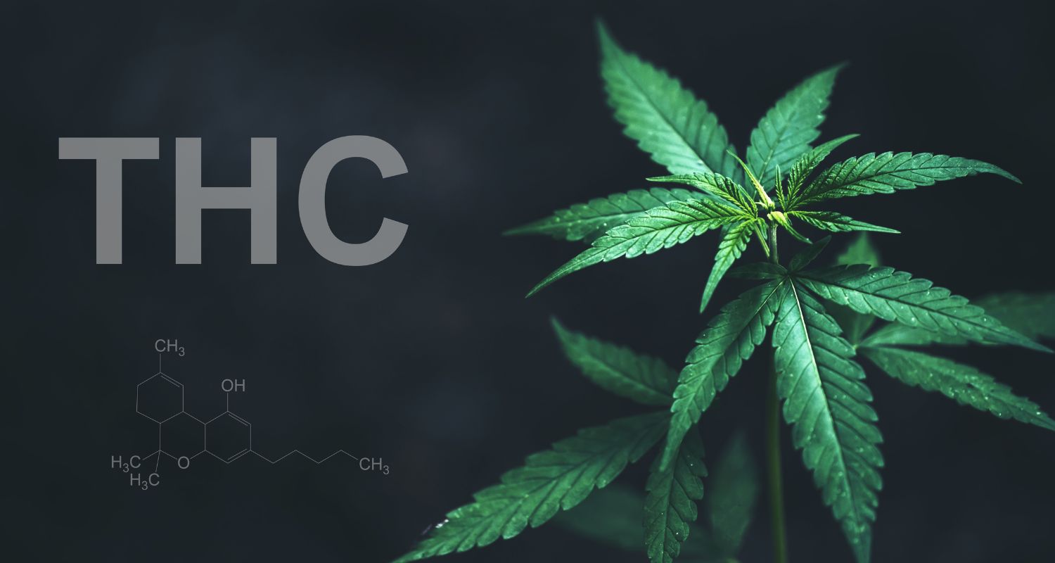 A Beginner’s Guide to THC | Stash & Co.